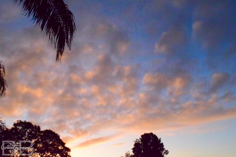 20220102095232-16593f4d