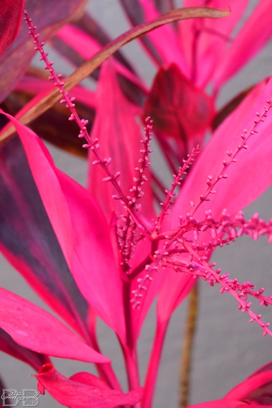 20220102095646-53c3d83e