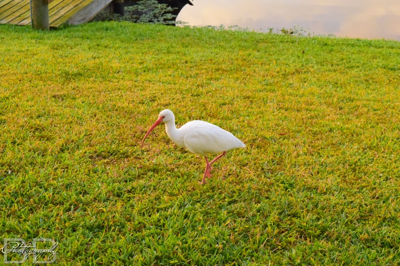 20220102100021-226806fd