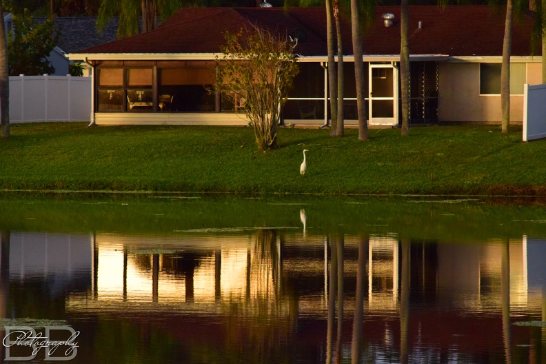 20220102101402-7941983f