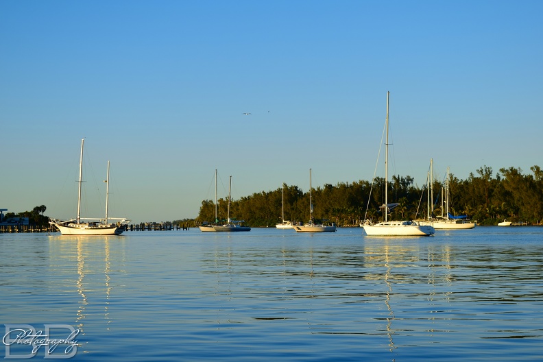 20220102112946-73c7b763