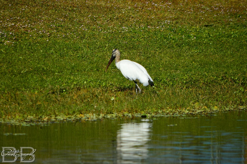 20220102134902-4094cb85