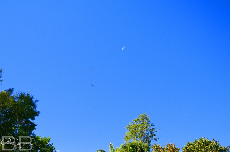 20220102140727-6c26452b