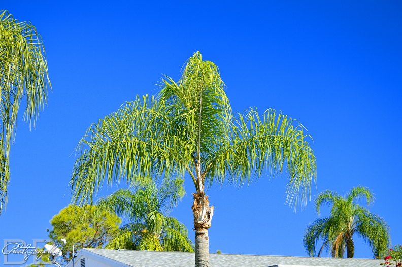 20220102140940-8c688938