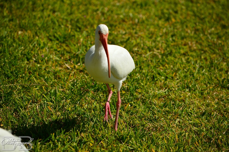 20220102141626-b295ac74