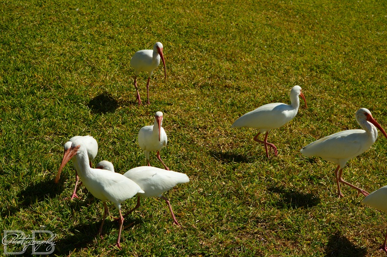 20220102141742-0e1a115e