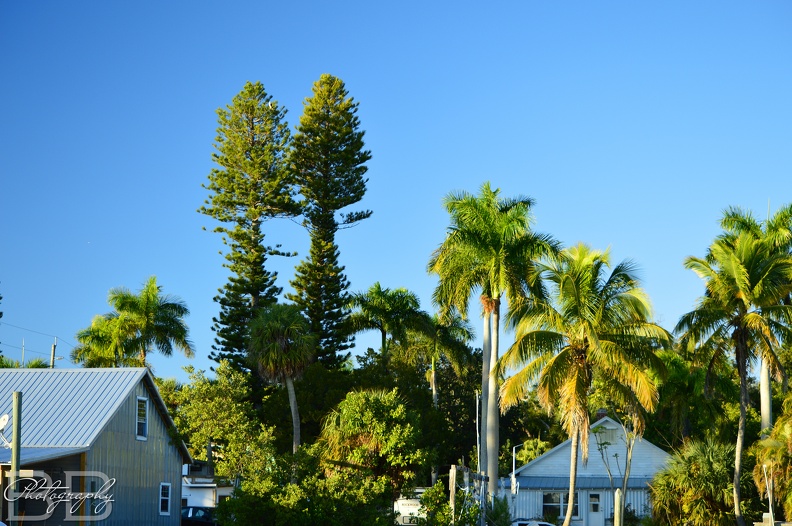 20220102143855-6687e541