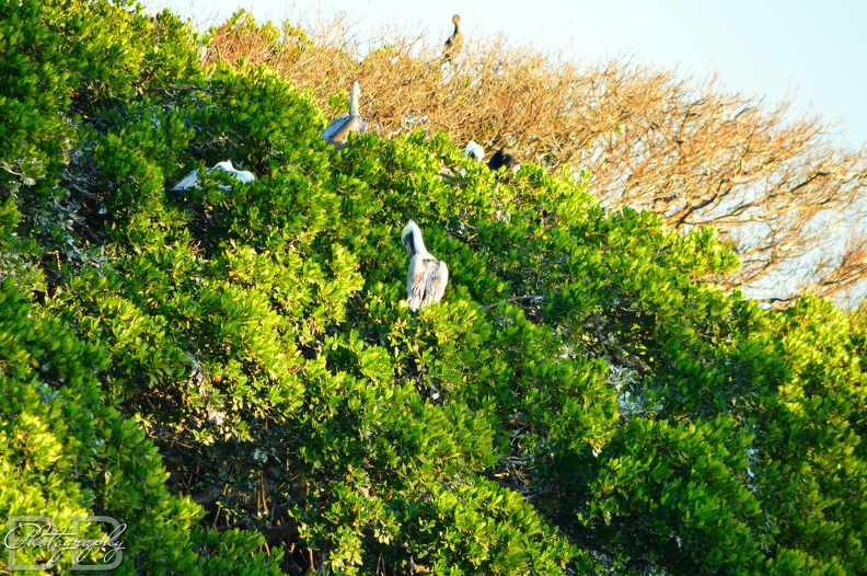 20220102182820-85564b16