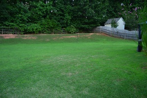 Everybody loves the sunshine, and sometimes the rain!